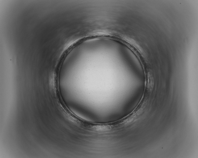 X0000112361404200908271244