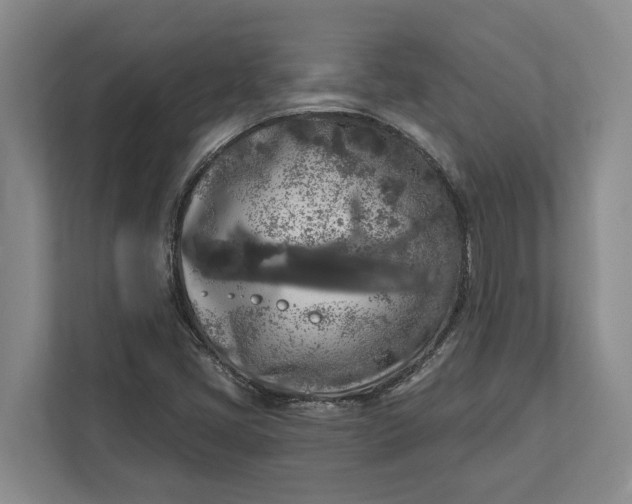 X0000112361405200908271244