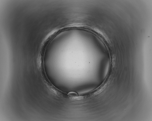 X0000112361406200908271244