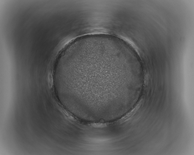 X0000112361407200908271244