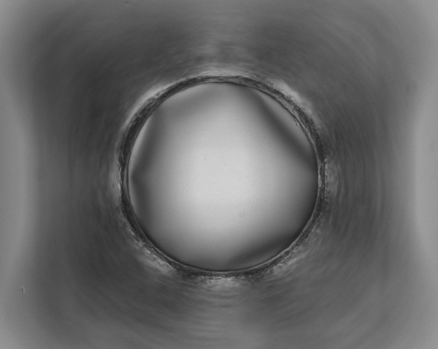 X0000112361408200908271244