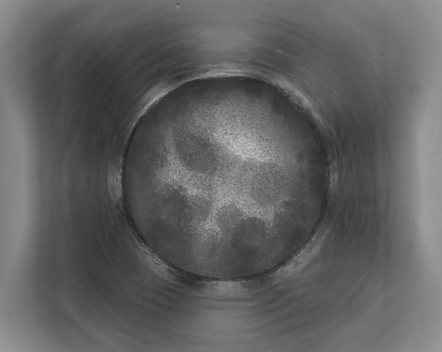 X0000112361409200908271244