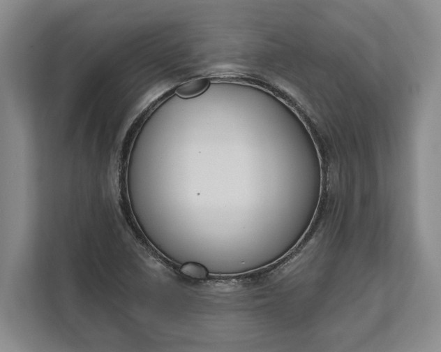 X0000112361410200908271244