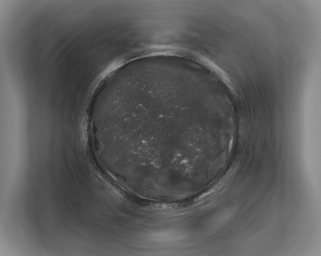 X0000112361411200908271244