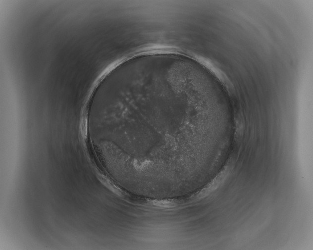 X0000112361413200908271244