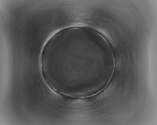 X0000112361414200908271244