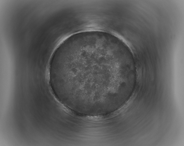 X0000112361415200908271244