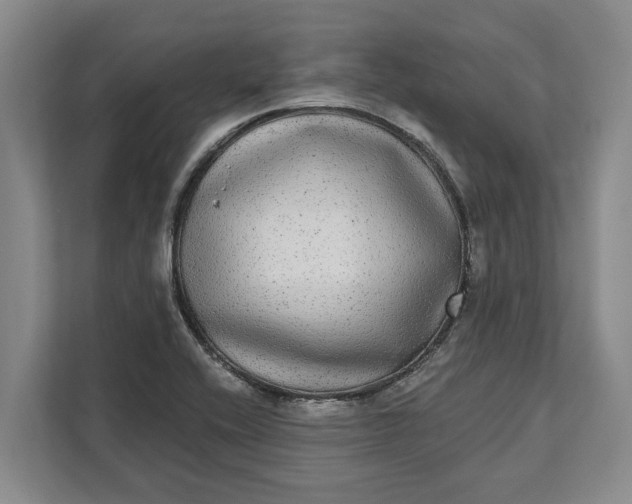 X0000112361416200908271244