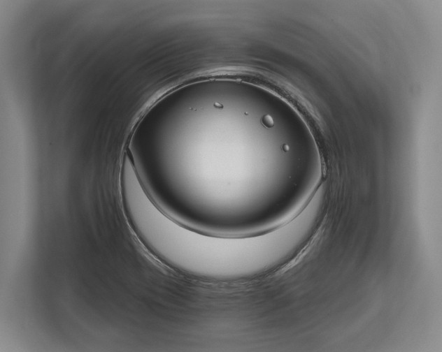 X0000112361417200908271244