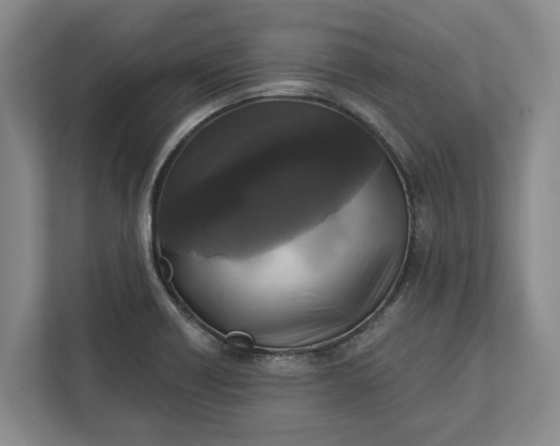 X0000112361418200908271244