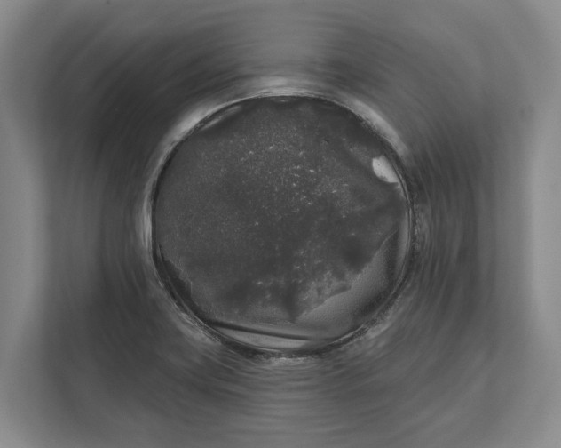 X0000112361419200908271244