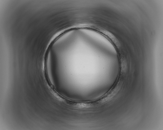 X0000112361420200908271244