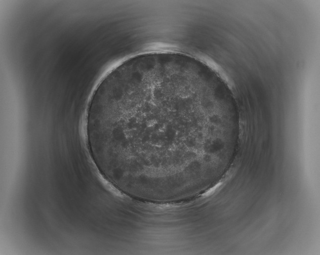 X0000112361421200908271244