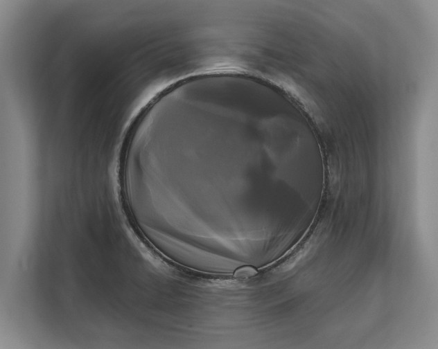 X0000112361422200908271244