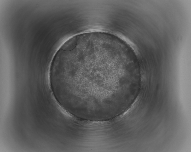 X0000112361423200908271244