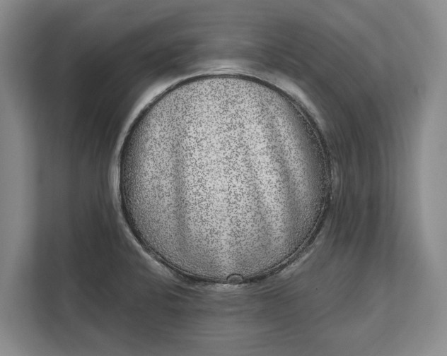 X0000112361424200908271244