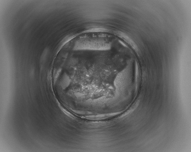 X0000112361425200908271244