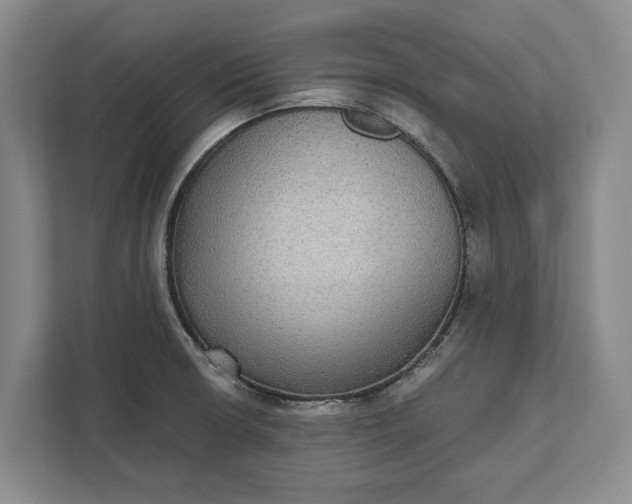 X0000112361426200908271244