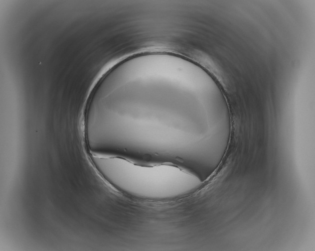 X0000112361428200908271244