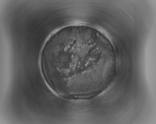 X0000112361429200908271244