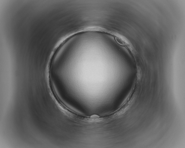 X0000112361430200908271244