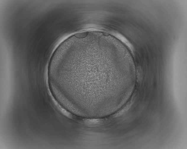 X0000112361431200908271244