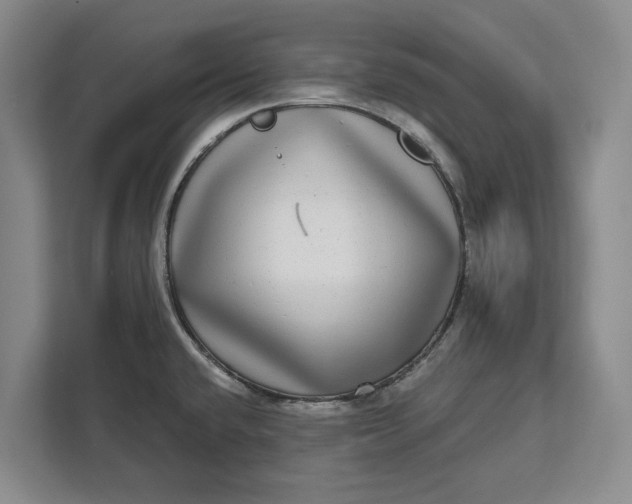 X0000112361432200908271244