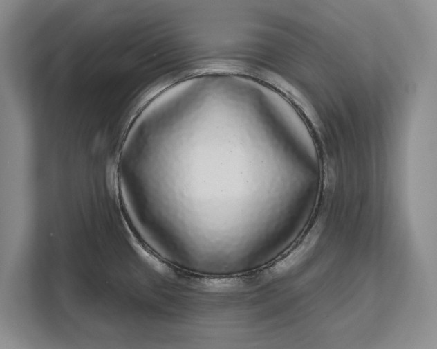 X0000112361433200908271244