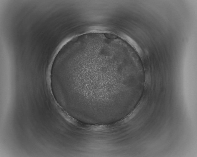 X0000112361435200908271244