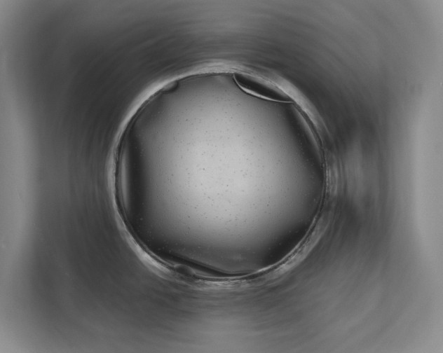 X0000112361438200908271244