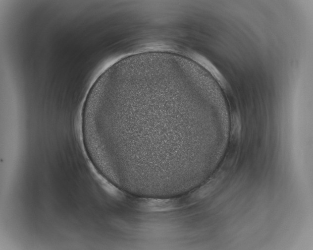 X0000112361439200908271244