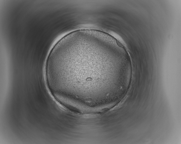 X0000112361440200908271244