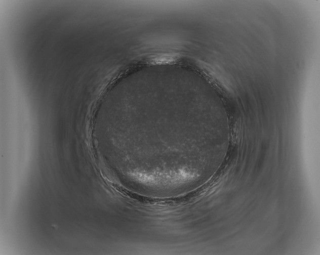 X0000112361441200908271244