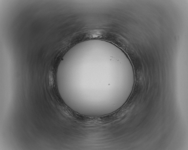 X0000112361442200908271244