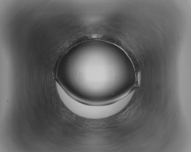 X0000112361443200908271244