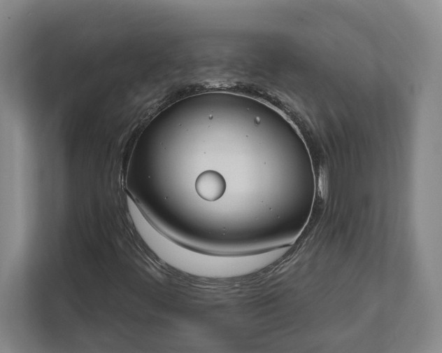 X0000112361444200908271244