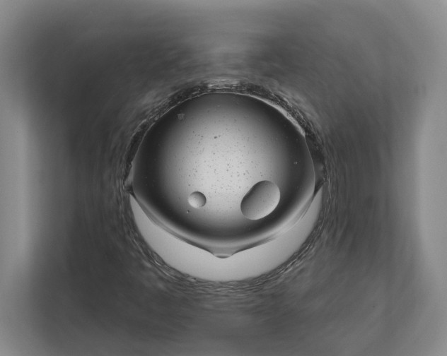 X0000112361445200908271244