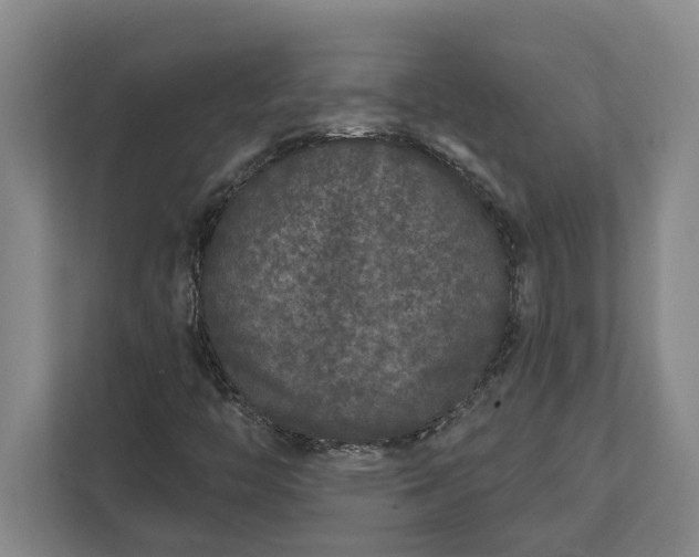 X0000112361446200908271244