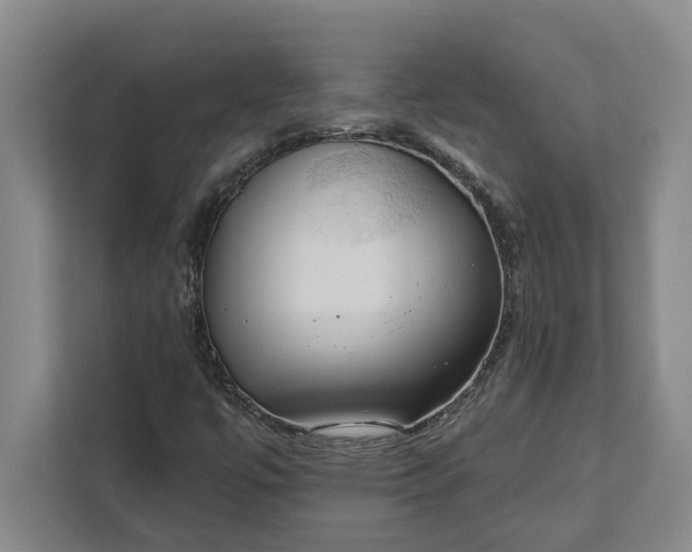 X0000112361447200908271244