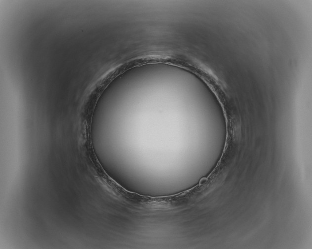 X0000112361448200908271244