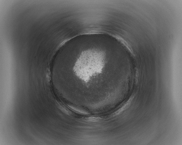 X0000112361449200908271243