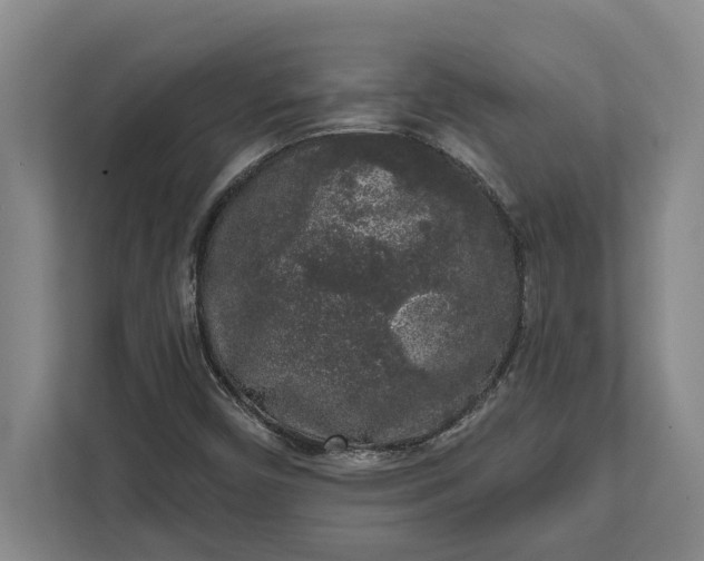 X0000112361450200908271243