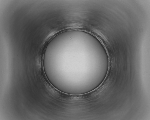 X0000112361451200908271243