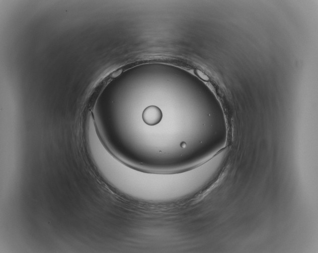 X0000112361453200908271243