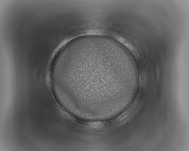 X0000112361454200908271243