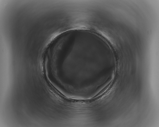 X0000112361455200908271243