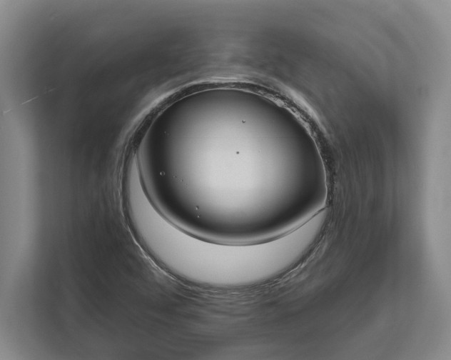 X0000112361456200908271243