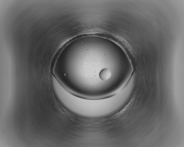 X0000112361457200908271243