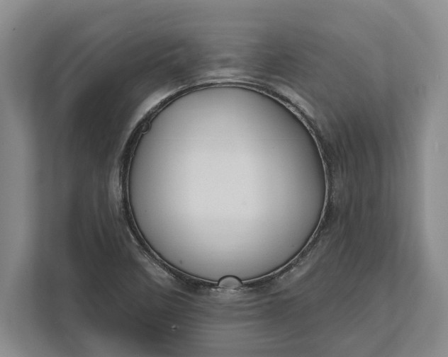 X0000112361458200908271243