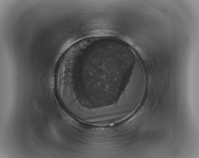 X0000112361459200908271243